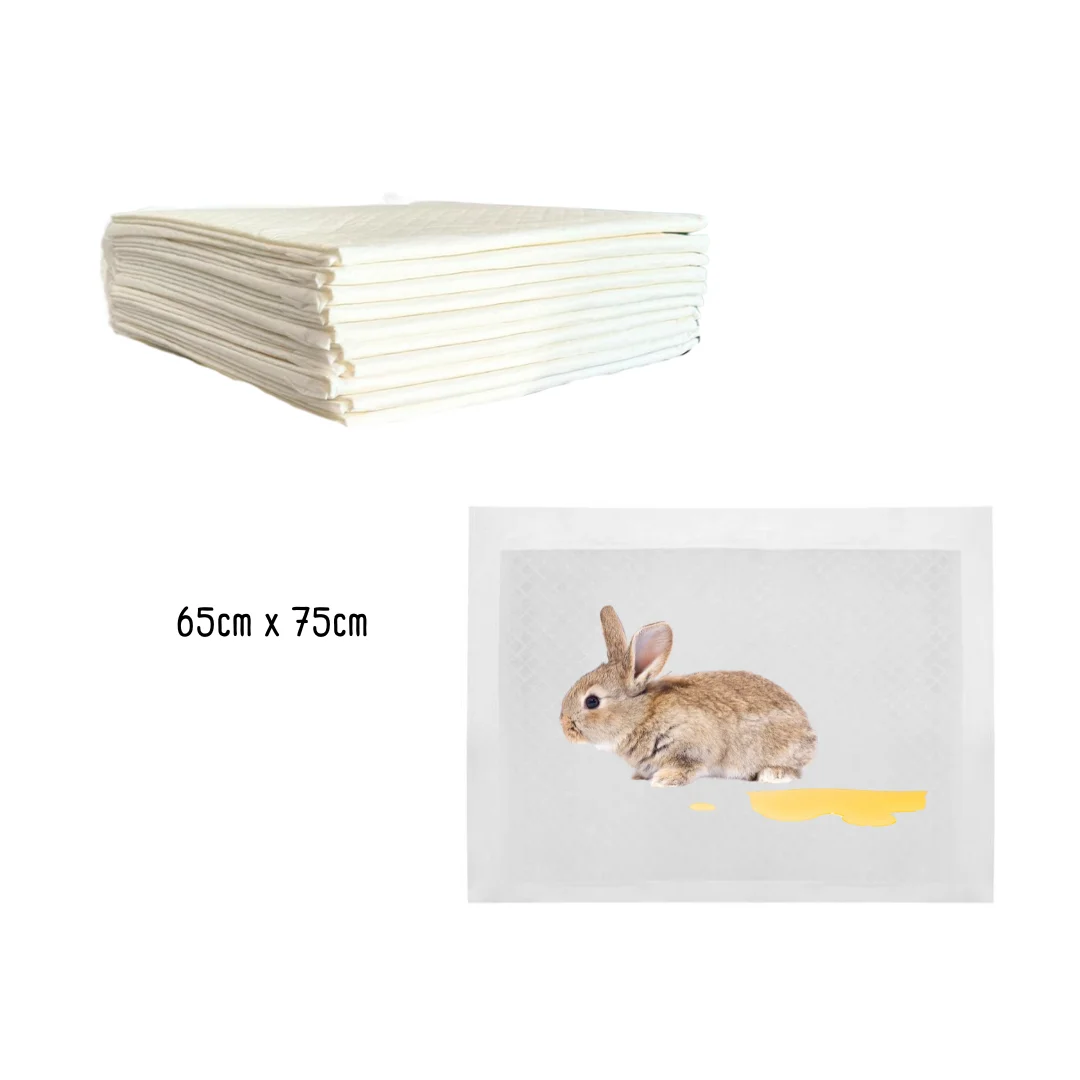 Toallas absorbentes x10